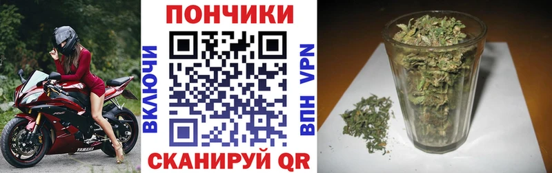 Купить наркотики сайты Кувшиново Псилоцибиновые грибы  МЕФ  Гашиш  мега маркетплейс  АМФЕТАМИН 